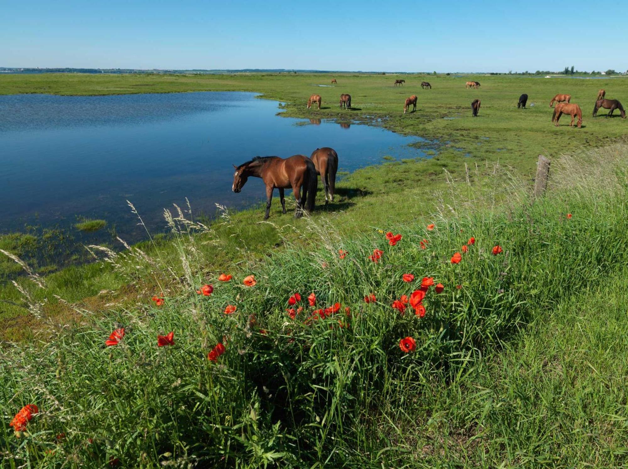 Luett Kajuet - Fip Park Appartement Insel Poel Buitenkant foto
