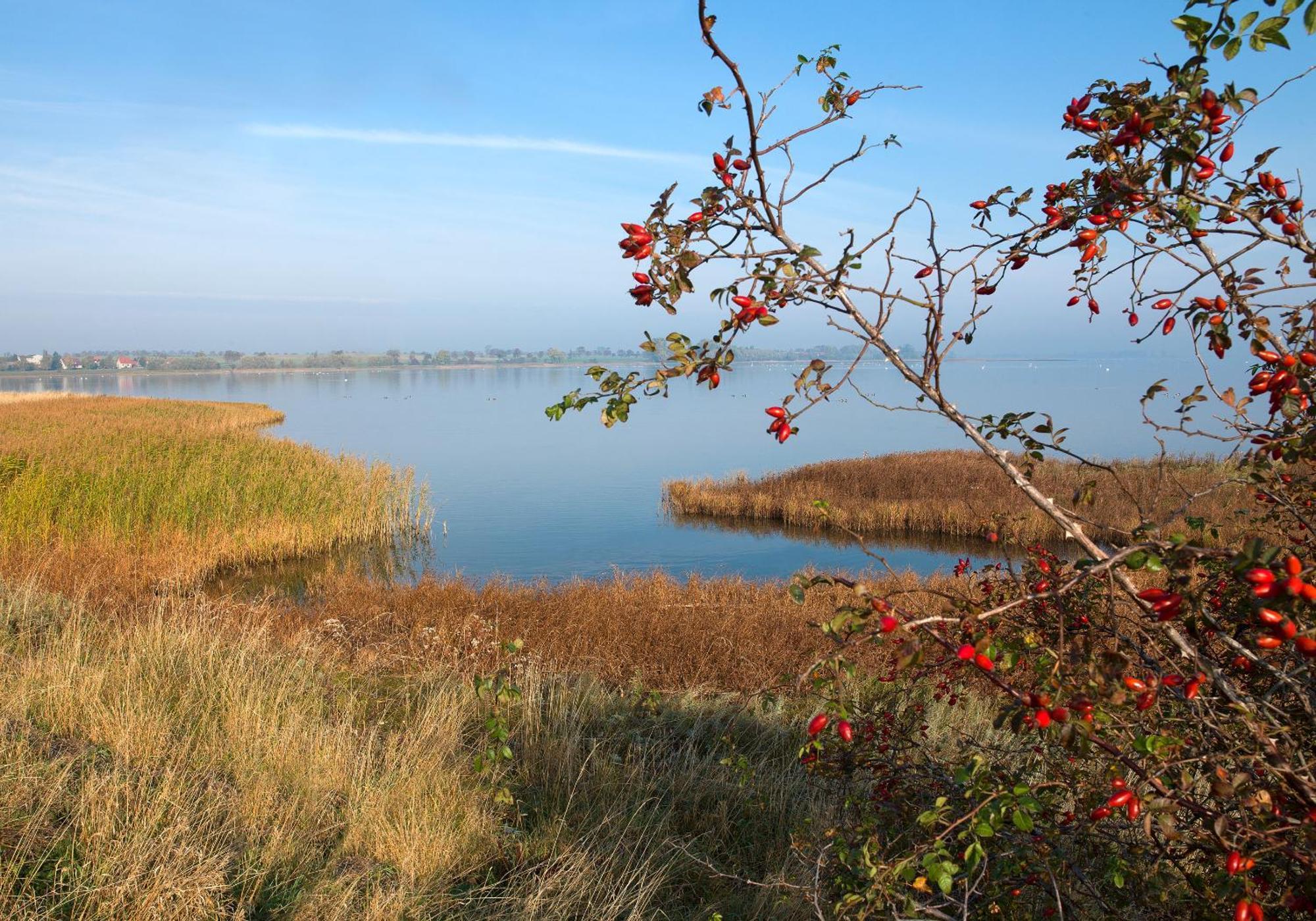 Luett Kajuet - Fip Park Appartement Insel Poel Buitenkant foto